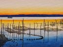 Albufera 41